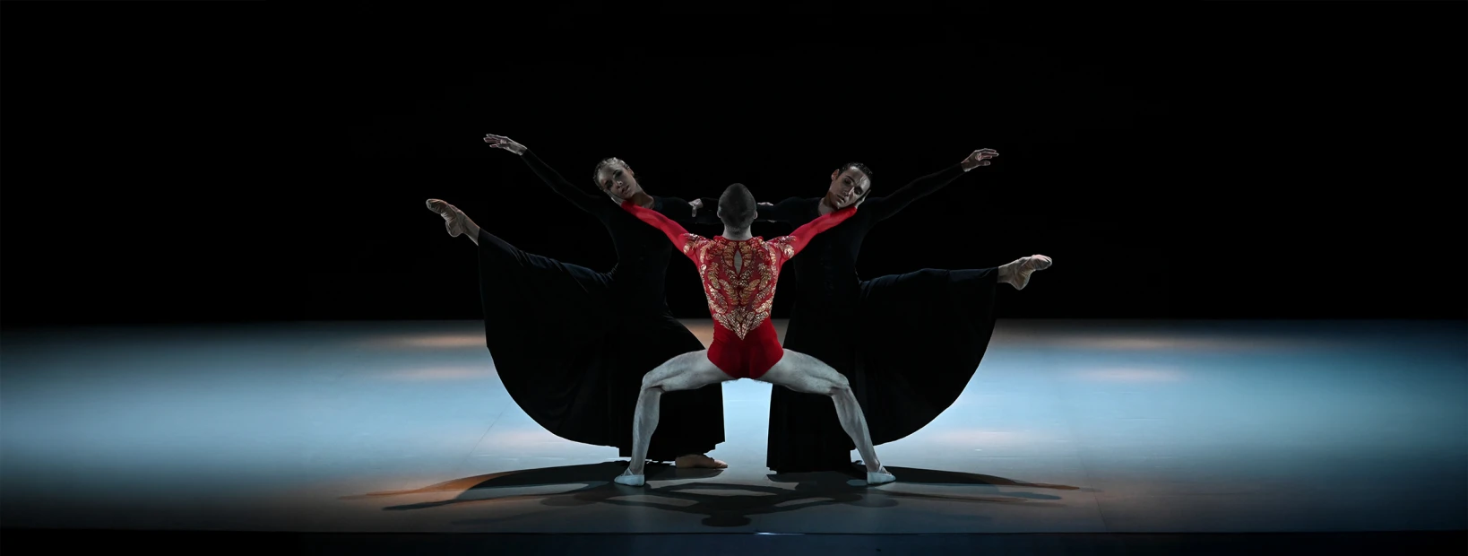 L'Oiseau de feu © Olivier Houeix