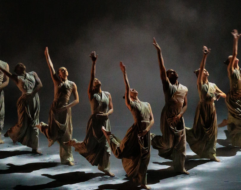 Cacti - Droits réservés