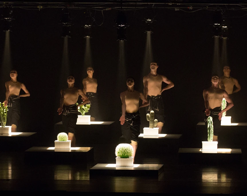 Cacti - Droits réservés