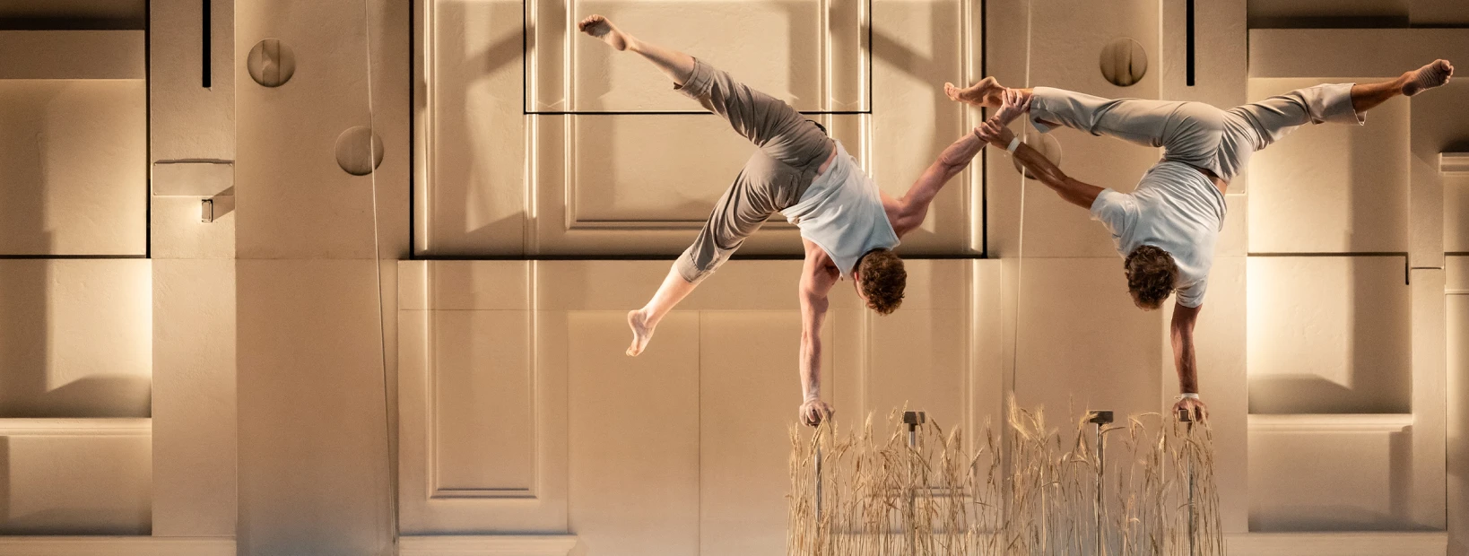 Entre Chiens et Louves © Nikola Milatovic