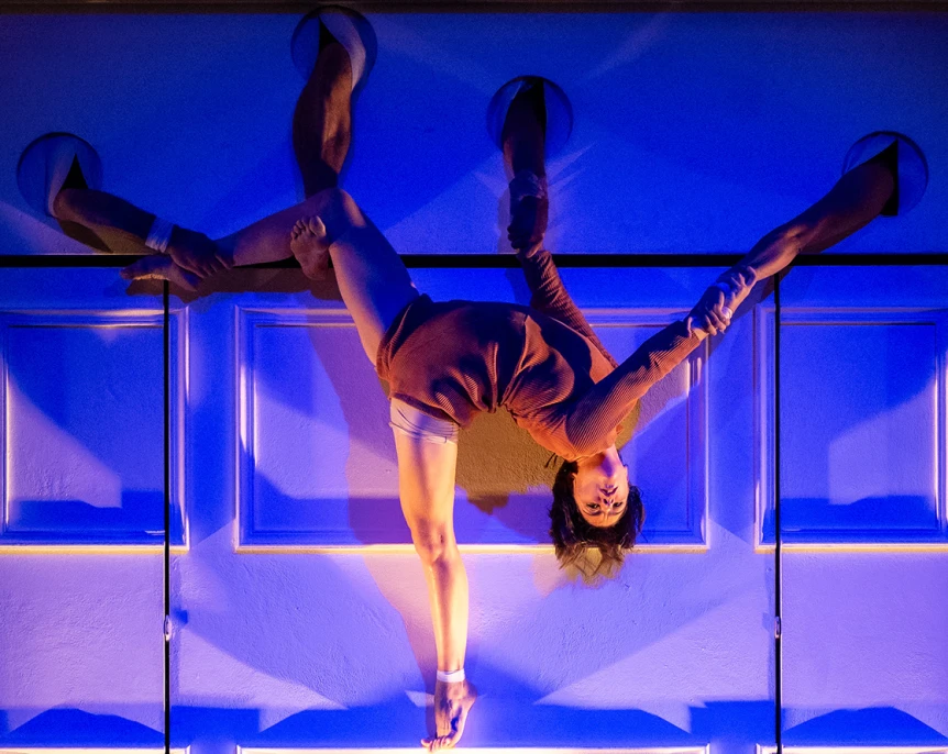 Entre Chiens et Louves © Nikola Milatovic