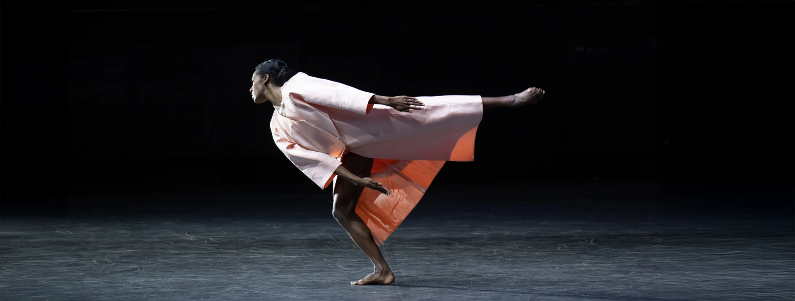 Le Sacre du printemps © Ash