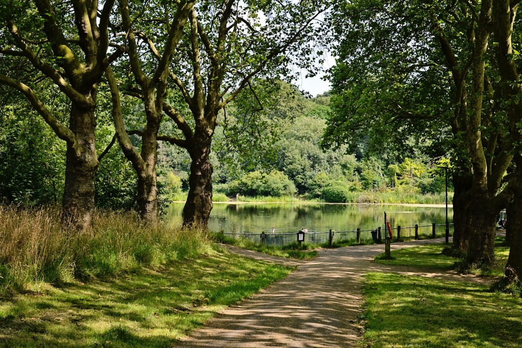 Parc du Hampstead Heath 