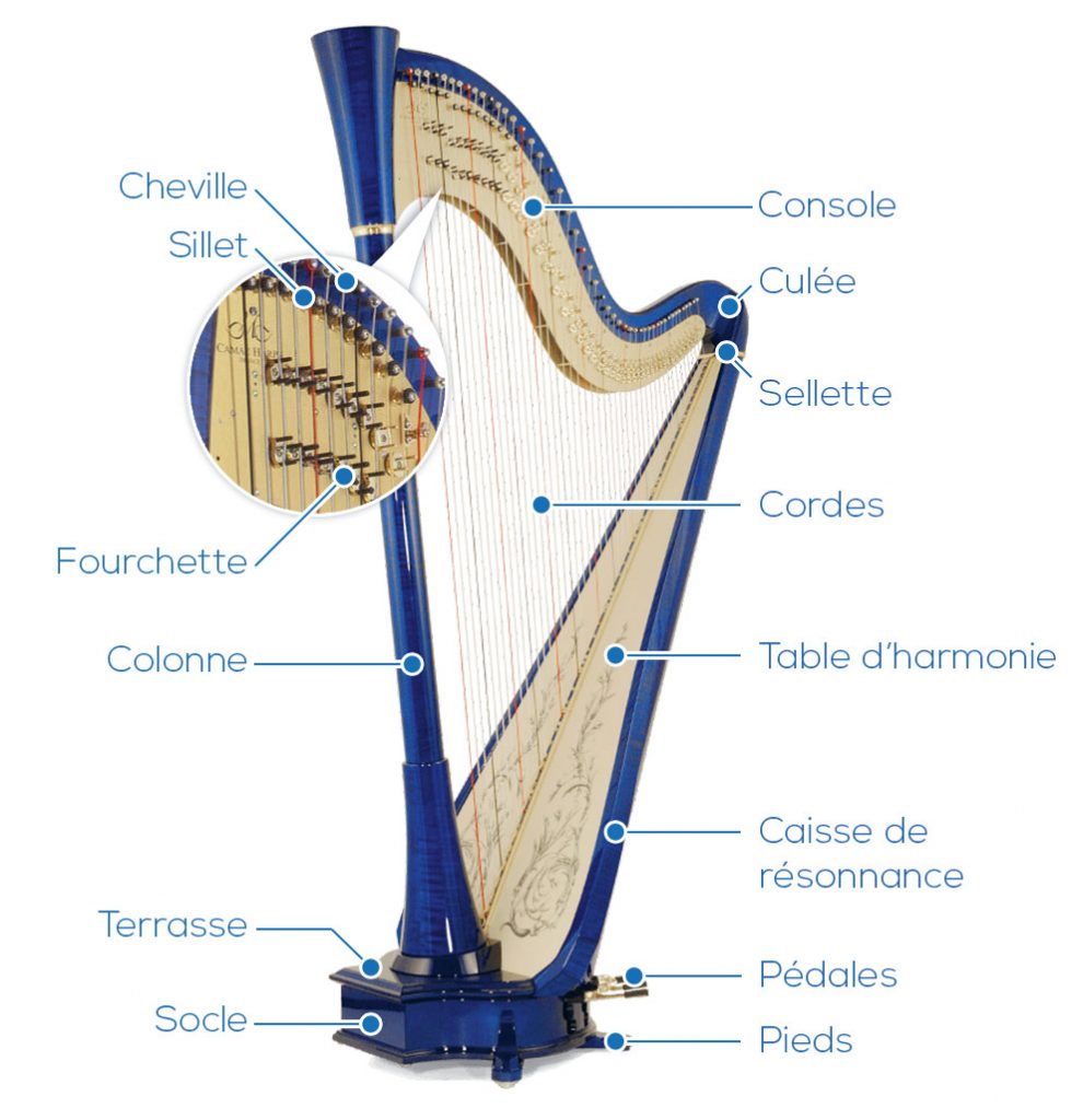 harpe bas latin harpa du germanique *harpa - LAROUSSE